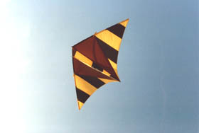 Custom Thermal Clipper