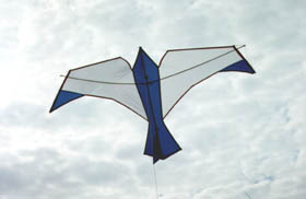 Hugh Blowers' new carbon-framed bird, from Bill's drawing