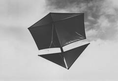 Alick Pearson Roller - Bev Leigh photo