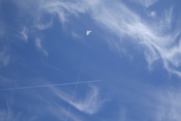 R7