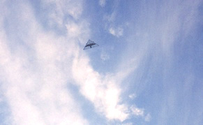 Ranger with appliquéd Peregrine silhouette Ranger with appliquéd Peregrine silhouette