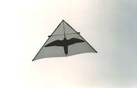 Original Burrito with appliquéd Peregrine silhouette Original Burrito with appliquéd Peregrine silhouette