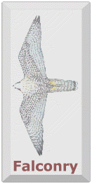 To falconers' page