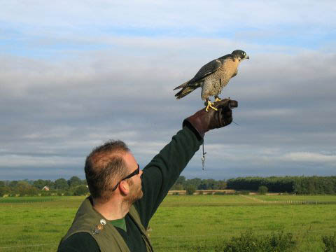 The author and Bubble
