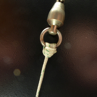 Jansik Special - front view