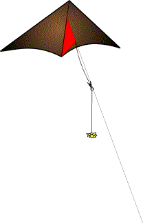 Debbie Davenport's rig