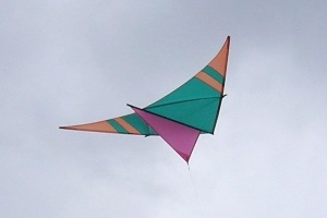OC345 photographed by Bev OC345