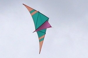 OC345 photographed by Bev OC345