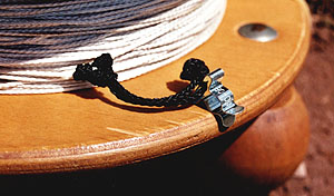 Instant falcon training