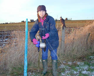 Rutland Jumbo electric fencing reel